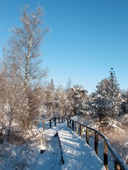 Pietzmoor-Stege im Winter